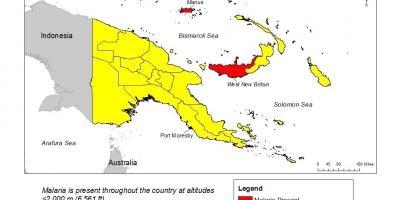 Papua Yeni gine'de sıtma göster 